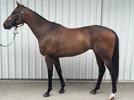 Entrusting conformation photo